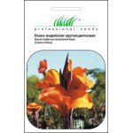 Канна індійська суміш /5 насінин/ *Професійне насіння*