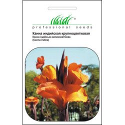 Канна индийская смесь /5 семян/ *Профессиональные семена*