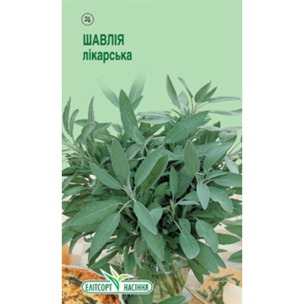 Семена шалфея лекарственного /0,1 г/ *ЭлитСорт*