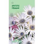 Арктотіс білий /0,3 г/ *ЕлітСорт*