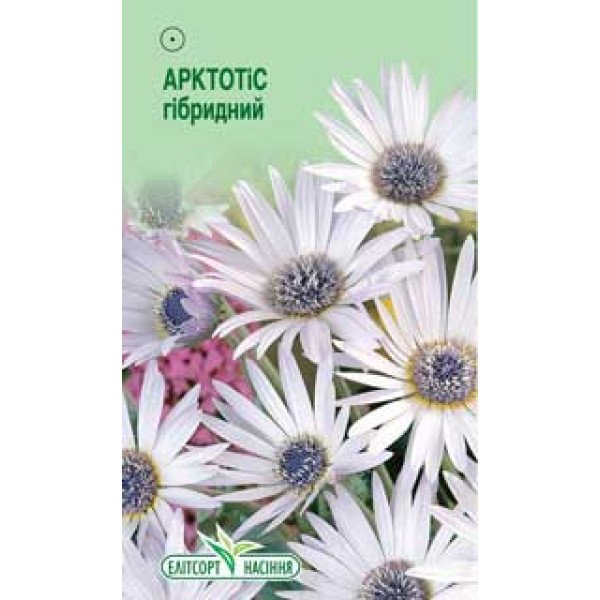 Семена арктотиса белого /0,3 г/ *ЭлитСорт*