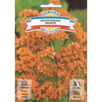 Статице Гвоздичный гигант оранжевый /0,3 г/ *Garden Elite*