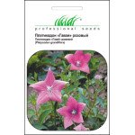 Платикодон Гаваи розовый /0,1 г/ *Профессиональные семена*