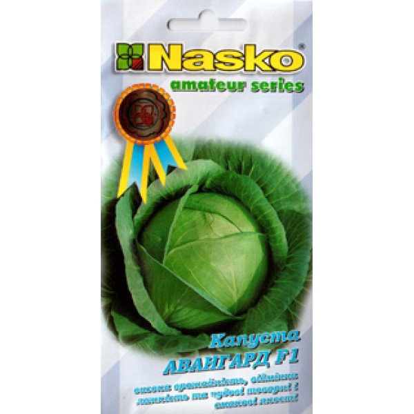 Насіння капусти білоголової Авангард F1 /50 насінин/ *Наско*