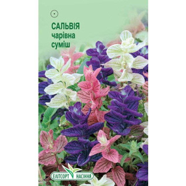 Насіння сальвії чарівна суміш /0,3 г/ *ЭлитСорт*
