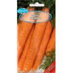 Морковь Темпо F1 /1 г/ *Антария*