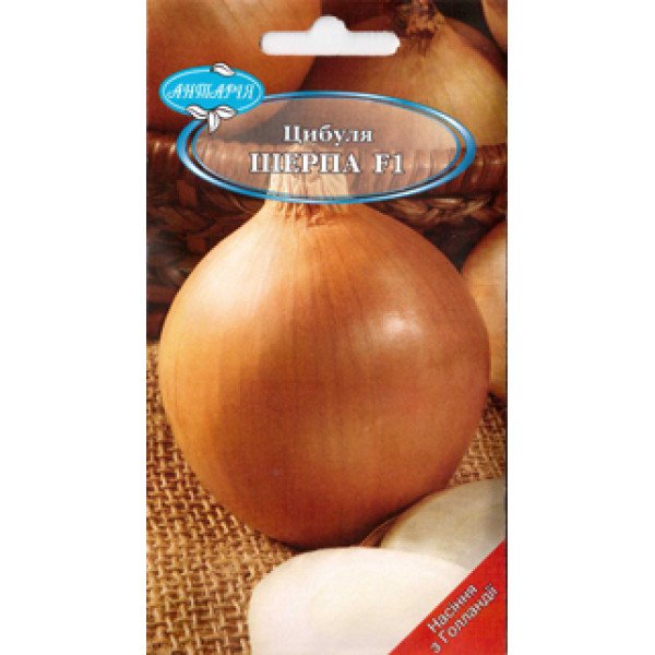 Насіння цибулі Шерпа F1 /1 г/ *Антарія*