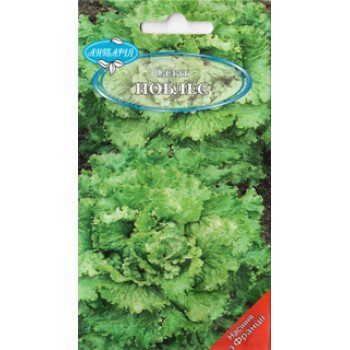 Салат Ноблес /0,1 г/ *Антарія*