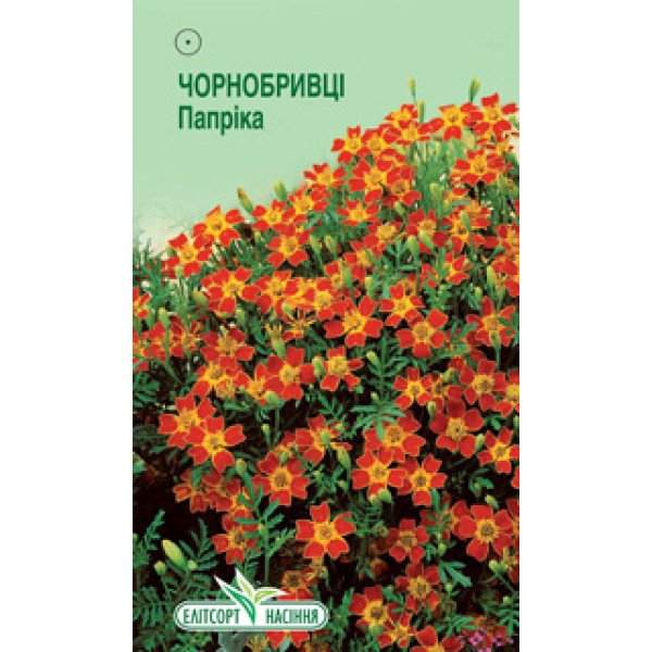 Насіння чорнобривців Папріка /0,1 г/ *ЕлітСорт*