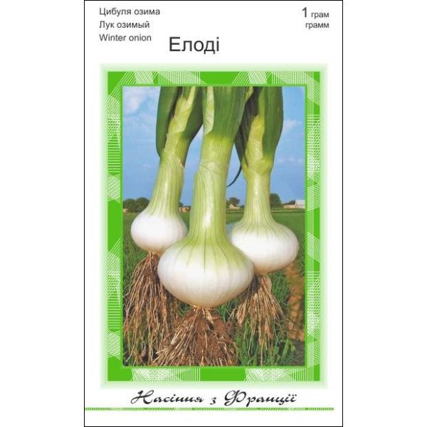 Семена лука Элоди /1 г/ *АгроПак*