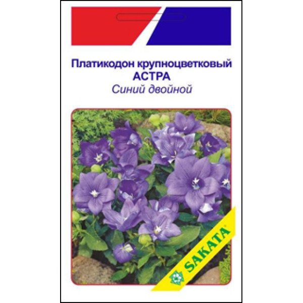 Платикодон великоквітковий Айстра синя подвійна /5 насінин/ *АгроПак*