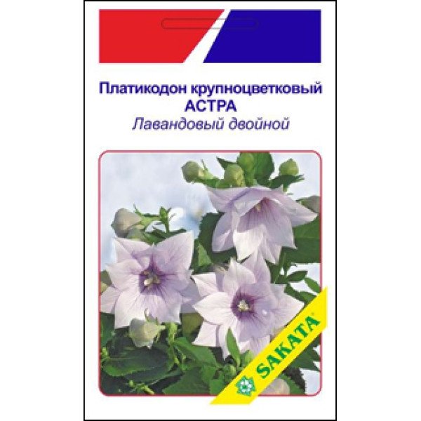 Платикодон великоквітковий Айстра лавандова подвійна /5 насінин/ *АгроПак*