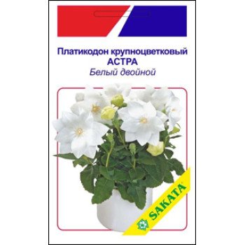 Платикодон великоквітковий Астра біла подвійна /5 насінин/ *АгроПак*