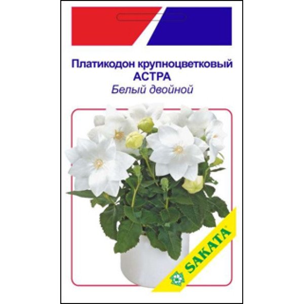 Платикодон великоквітковий Астра біла подвійна /5 насінин/ *АгроПак*