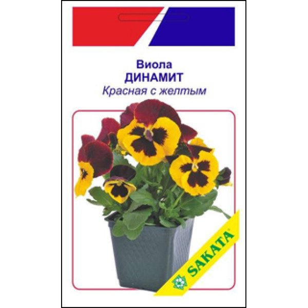 Виола Динамит красная с желтым /10 семян/ *АгроПак*