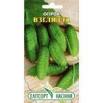 Огурец Взгляд /20 семян/ *ЭлитСорт*