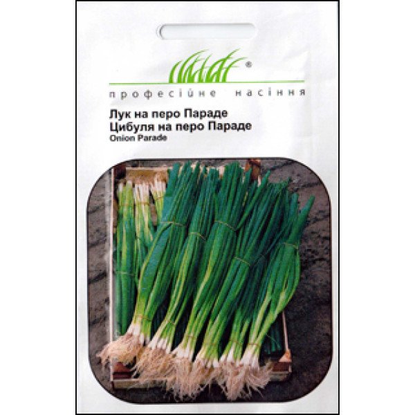 Насіння цибулі на перо Параді /200 насінин/ *Професійне насіння*