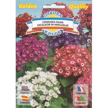 Цинерария карликовая Эксцельсиор смесь /0,12 г/ *Garden Elite*