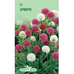 Армерия смесь /0,05 г/ *ЭлитСорт*