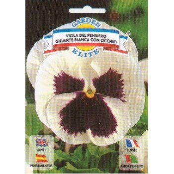 Віола Гігантська біла /0,25 г/ *Garden Elite*