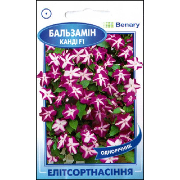 Семена бальзамина Канди F1 виолет стар /5 семян/ *ЭлитСорт*