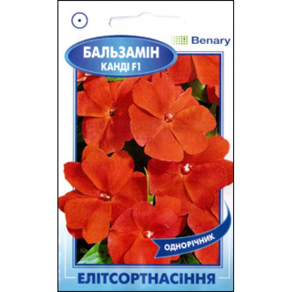 Насіння бальзаміну Канді F1 червоний /5 насінин/ *ЕлітСорт*