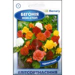 Бегония Нон-Стоп F1 смесь /3 семечка/ *ЭлитСорт*