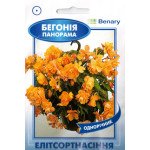 Бегония Панорама F1 абрикосовая /3 семечка/ *ЭлитСорт*