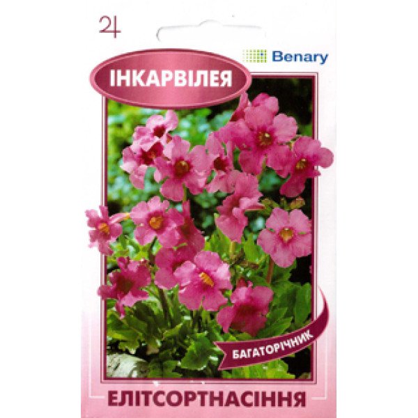 Насіння інкарвілеї рожевої /10 насінин/ *ЕлітСорт*