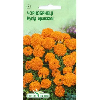 Бархатцы Купид оранжевые /0,1 г/ *ЭлитСорт*