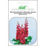 Матіола Лусінда червона /0,1 г/ *Професійне насіння*