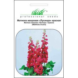Матиола Лусинда красная /0,1 г/ *Профессиональные семена*