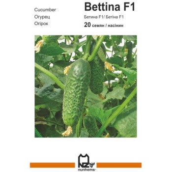 Огірок Бетіна F1 /20 насінин/ *АгроПак*