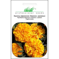 Чорнобривці Еквінокс помаранчеві /0,5 г/ *Професійне насіння*