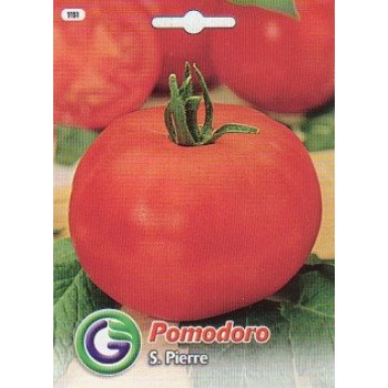 Томат Сан П'єр /1,5 г/ *Galassi sementi*