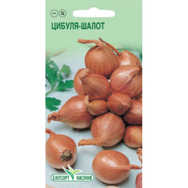 Семена лук-шалот /0,5 г/ *ЭлитСорт*