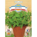 Мята Мента пиперита /0,3 г/ *Galassi sementi*