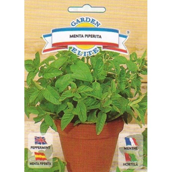 Семена мяты Мента пиперита /0,3 г/ *Galassi sementi*