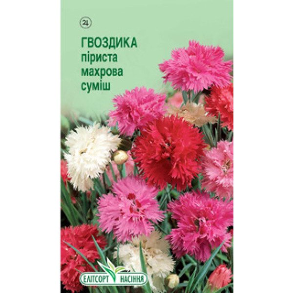Насіння гвоздики перистої махрова суміш /0,1 г/ *ЕлітСорт*