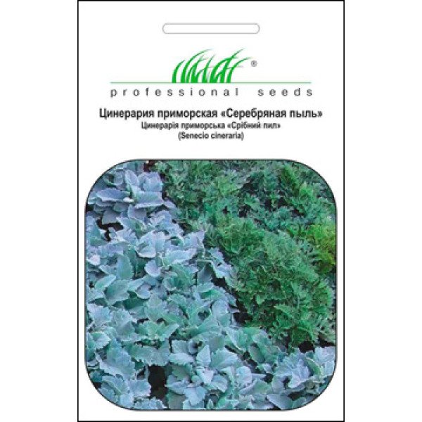Семена цинерарии Серебряная пыль /0,1 г/ *Профессиональные семена*
