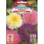 Айстра Привабливість америки суміш /1 г/ *Garden Elite*