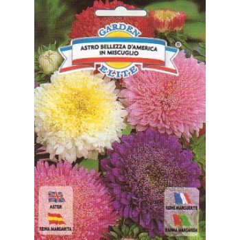 Айстра Привабливість америки суміш /1 г/ *Garden Elite*