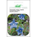 Платикодон Гаваї голубий /0,1 г/ *Професійне насіння*