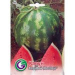Арбуз Корифей /1,5 г/ *Galassi sementi*