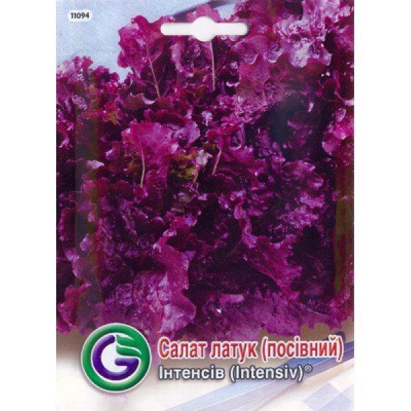 Насіння салату Інтенсив /1000 насінин/ *Galassi sementi*