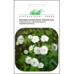Гіпсофіла Зимовий візерунок /0,1 г/ *Професійне насіння*