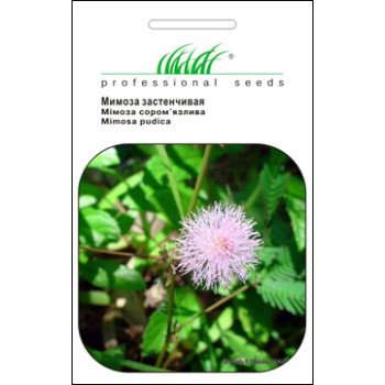 Мимоза стеснительная /0,5 г/ *Профессиональные семена*