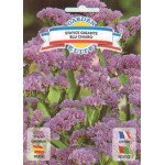 Кермек Гвоздичний гігант світло-блакитний /0,3 г/ *Garden Elite*