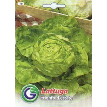 Салат Тріумф літа /6,5 г/ *Galassi sementi*