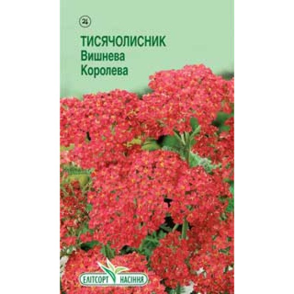 Насіння тисячолисника Вишнева Королева /0,1 г/ *ЭлитСорт*